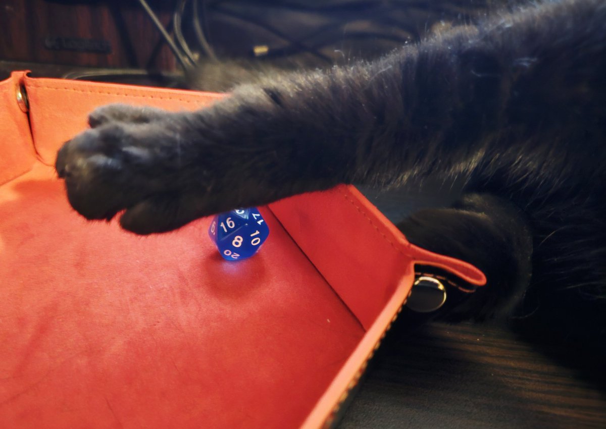 Meow Borg 🐾 Мяу Борг tweet media