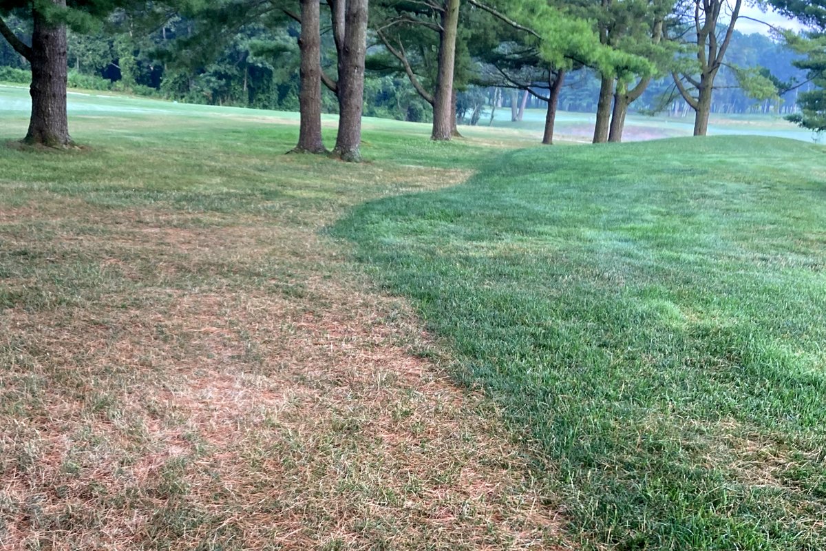 USGA Green Section tweet media