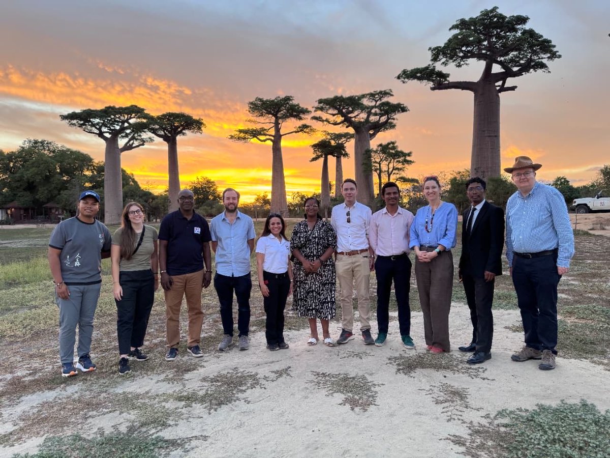 Patrick Lynch tweet media