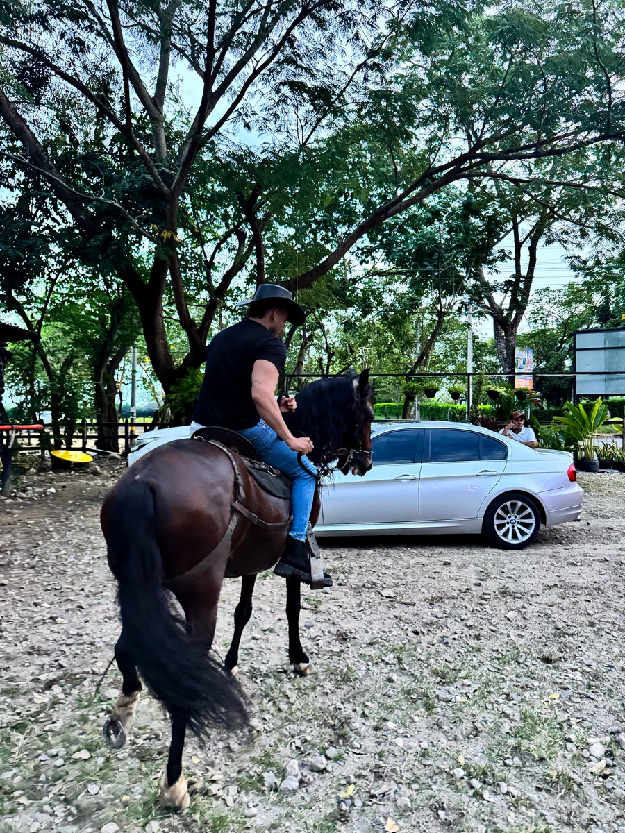 Ian camilo mendoza tweet media
