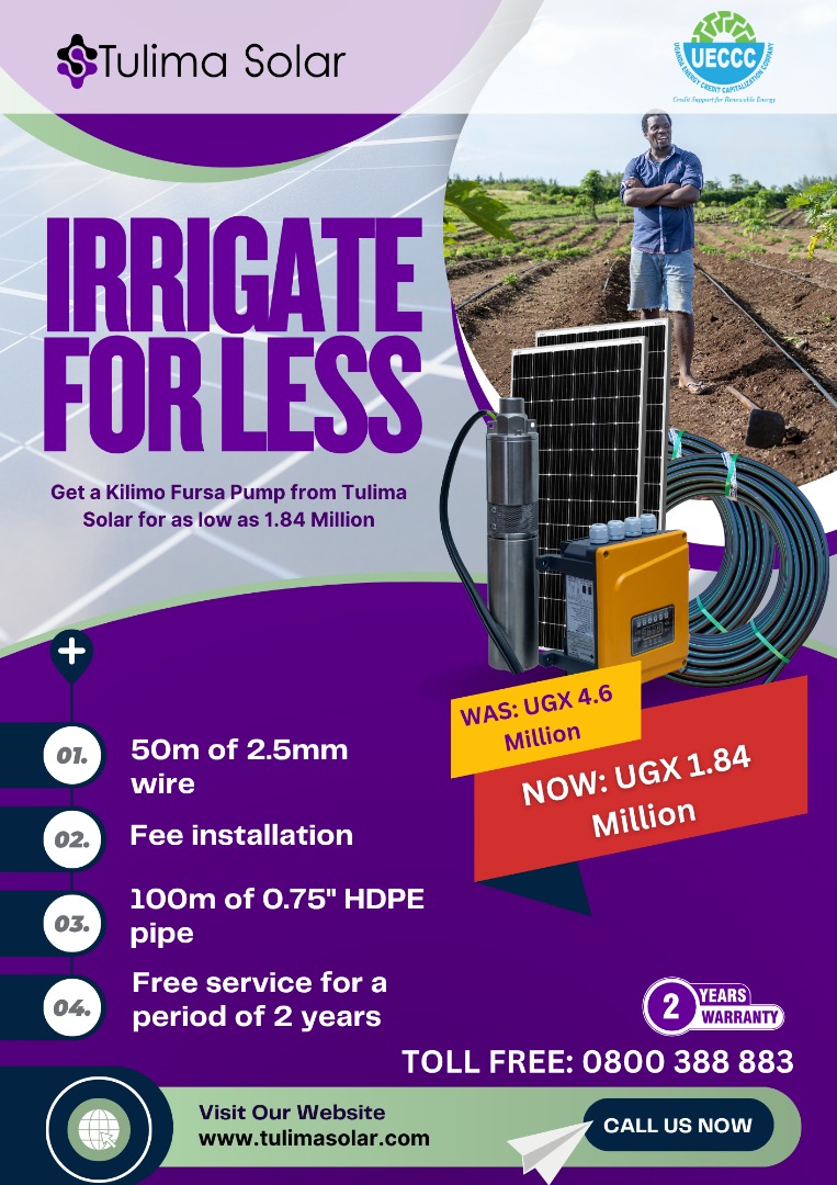 💧 Give the Gift That Keeps on Pumping &amp; and Saving!

👋 A quick, special note to our valued community!

We promised you some amazing Christmas offers, and here is one that will truly make a difference this holiday season: 

The ultimate, affordable, and brand-new Solar Water