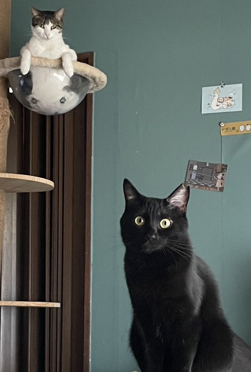 「セフレの品格〜終恋〜」バルト9、シネマロサにて明日から公開！
4部作の最終章です。みてね！