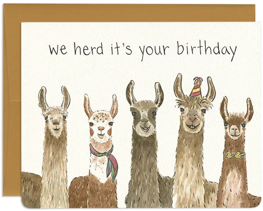 Team Datafam tweet media