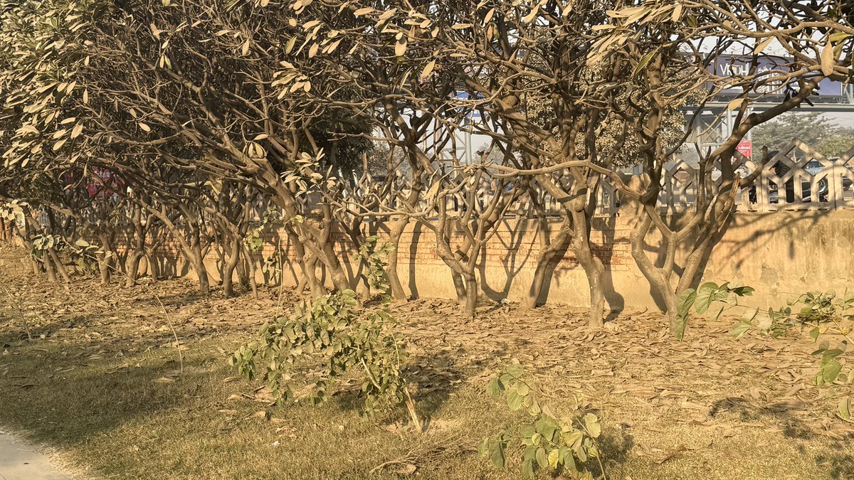 Simpli_vaibhav's tweet photo. Dear @OfficialGNIDA @CeoNoida, the park opposite Gaur City Mall is full of dust and in very poor condition. Requesting immediate cleaning and maintenance of this important public space. 🙏
#GreaterNoida #CommunityFirst https://t.co/FzOR0esaMt