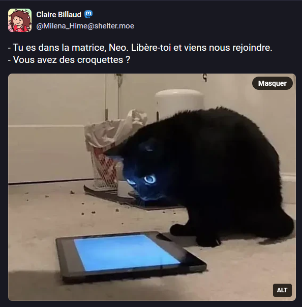 Memecredi tweet media