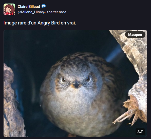 Memecredi tweet media