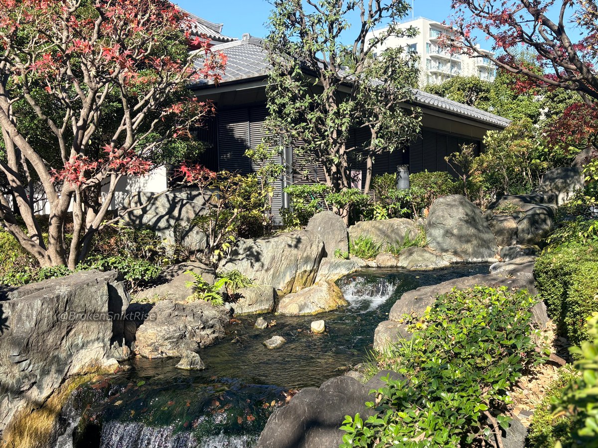 BrokenSniktRise's tweet image. あなたと旅行に行けて、今年の一番のプレゼントになったよ。楽しんでくれて、よかった。ジョニー、これからも色んなとこに一緒に行こうね ₊˚⊹♡ ！
@flamefamed 🐺🐶