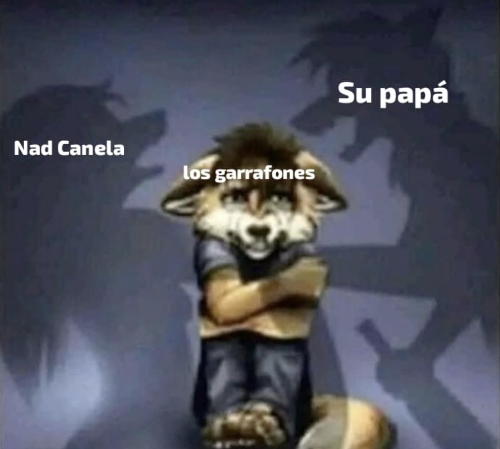 n-no me gr-grites porfa