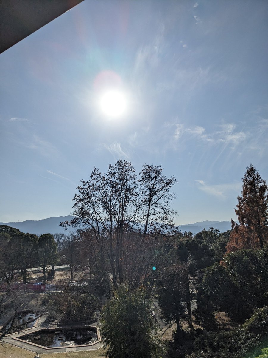 バイク乗ろうとしたがエンジン不発❌ なんとなく動植物園に、 展望台