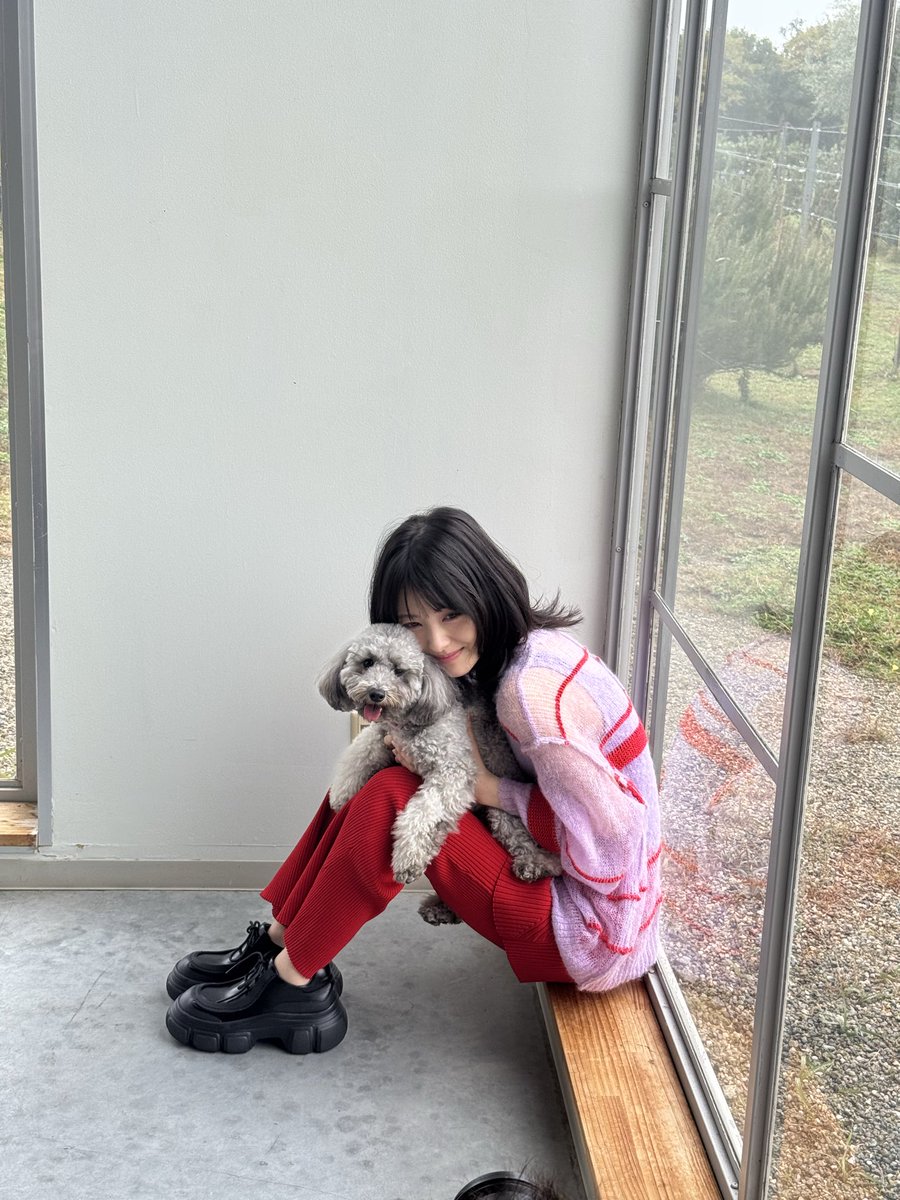 MINAMI373HAMABE's tweet photo. カレンダーの発売が決定いたしました!🐶
コンセプトは『わんこと巡る1年』
かわいいわんこ4匹としあわせな撮影をさせていただきました🐶
うちのぽぷこぺも、お友達と会えて楽しそうでした🐶
ぜひ!おうちに飾ってあげてください🐶 https://t.co/7mJZMULLjA