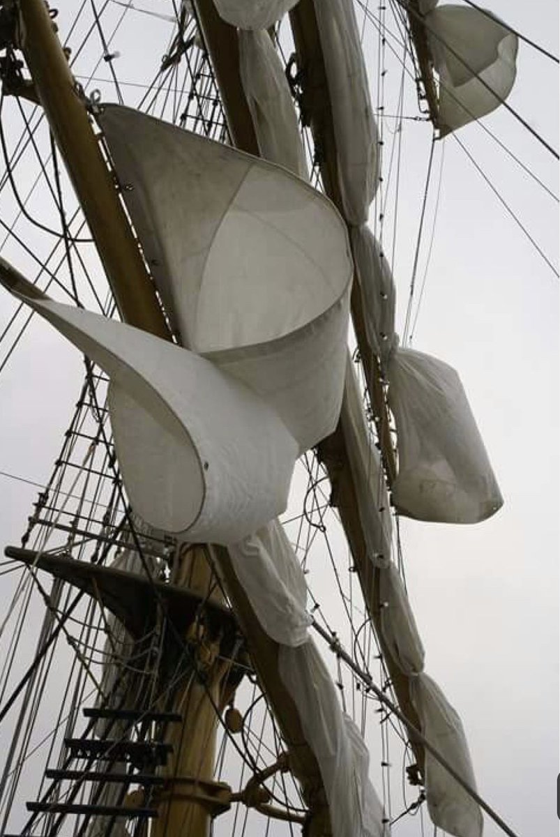 Delight Moments (@delightmoments_) on Twitter photo 