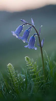 #صباح_الاشياء_المشرقه
.
.
إصلاح الأرض ونثر البذور وتسوية التربة تجعل من الإنسان فيلسوفاً ، فهي وقفة تأمل يشاهد من خلالها مولد الحياة ونموها .. 🍂
.