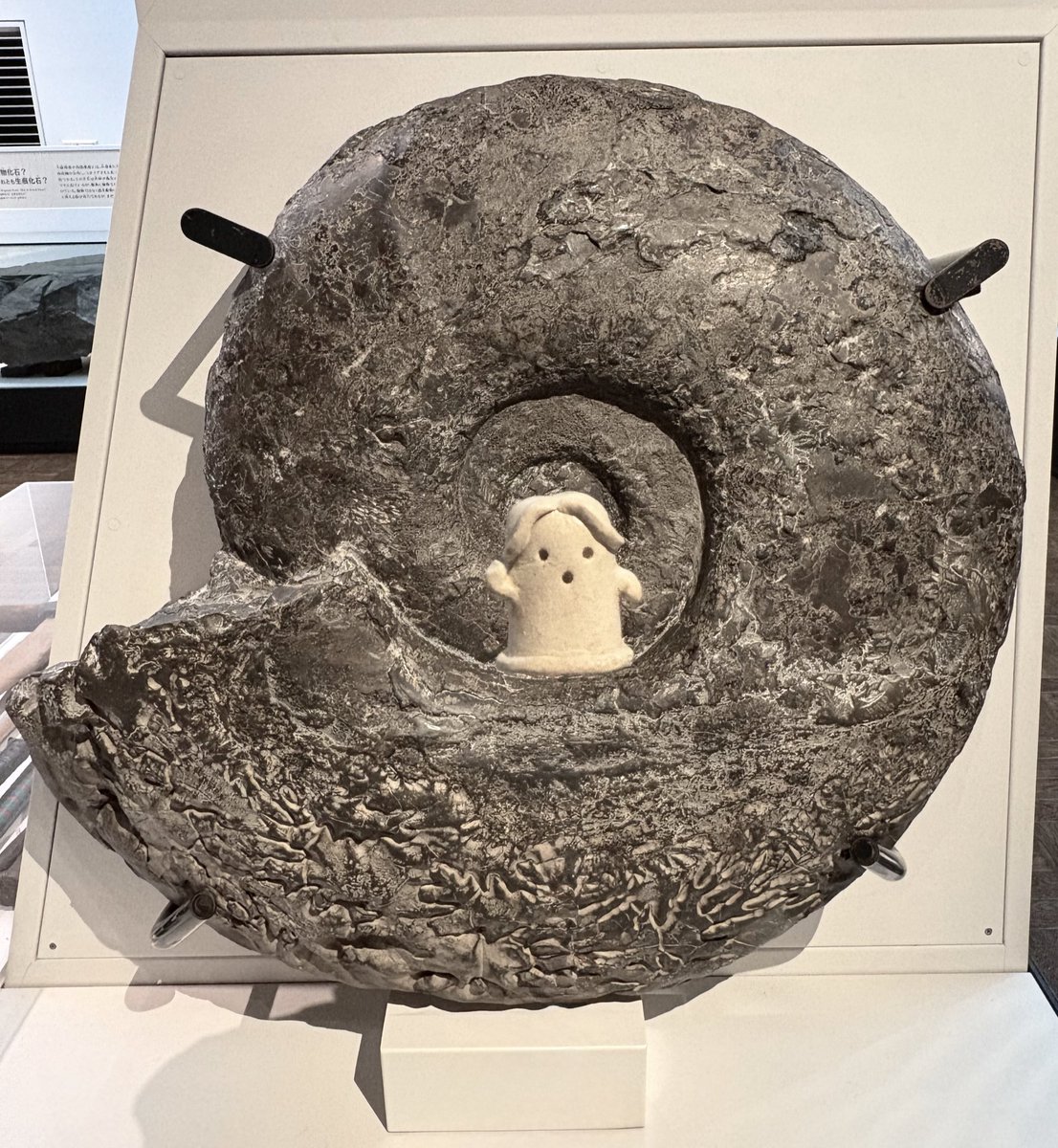 ……とても、おおきいんだね