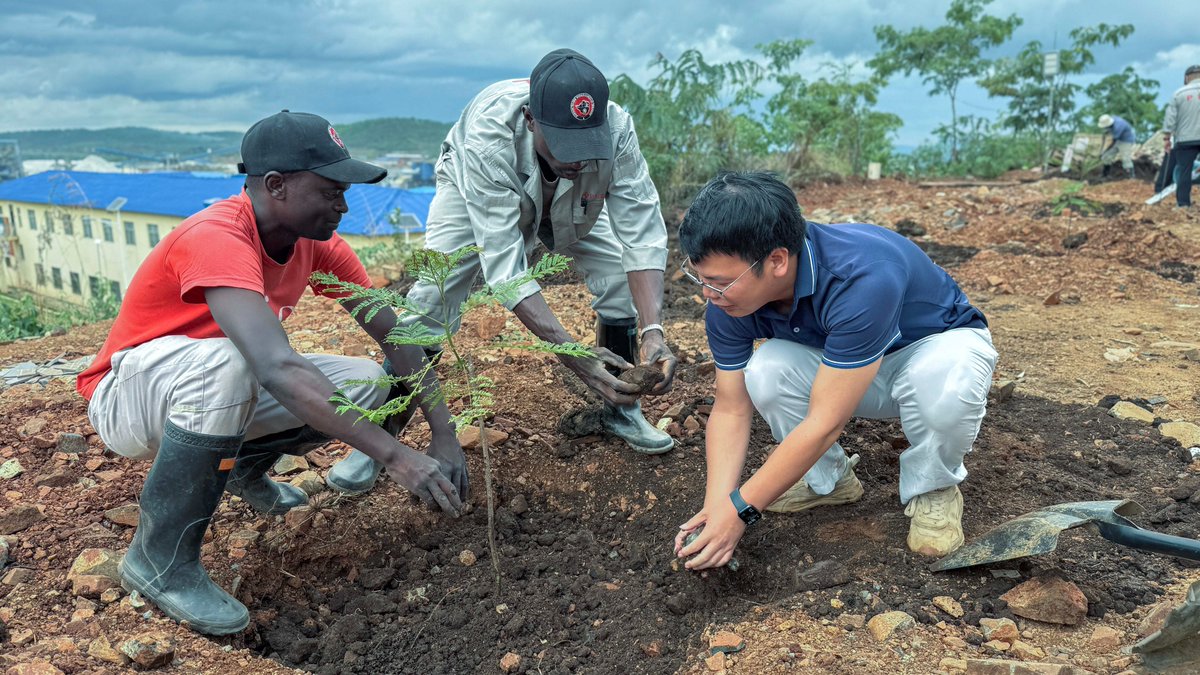 LithiumPlz's tweet image. The Huayou Zimbabwe team took a significant step towards a greener future, planting jacaranda trees and turning sustainability from a shared idea into shared action!  #HuayouZimbabwe #SustainabilityInAction #GreenerFuture"