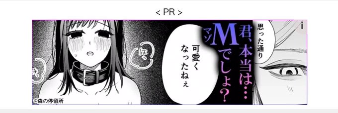 こ、広告だーーーーーーーッッ (ありがとうございますありがとうございます広告ありがとうございます)