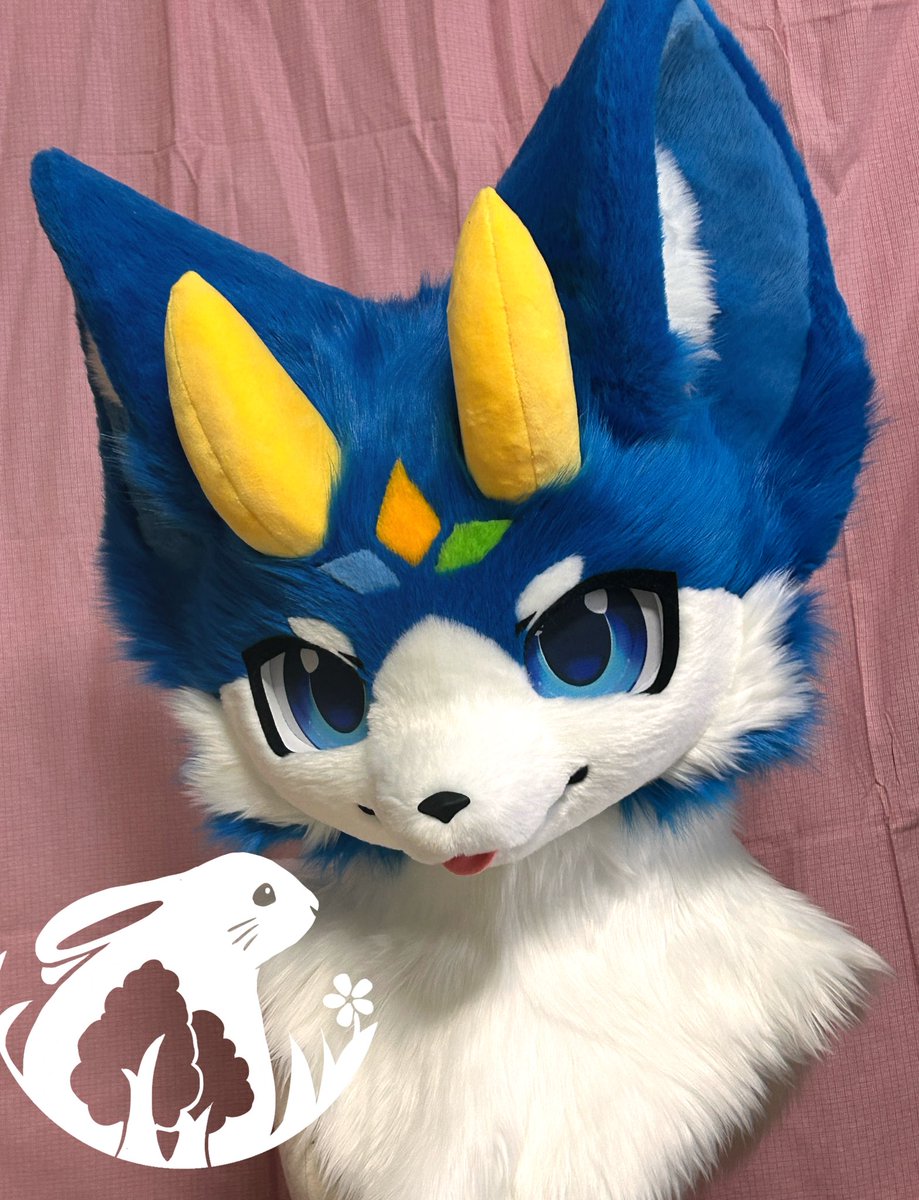 森林兔工作室 tweet media
