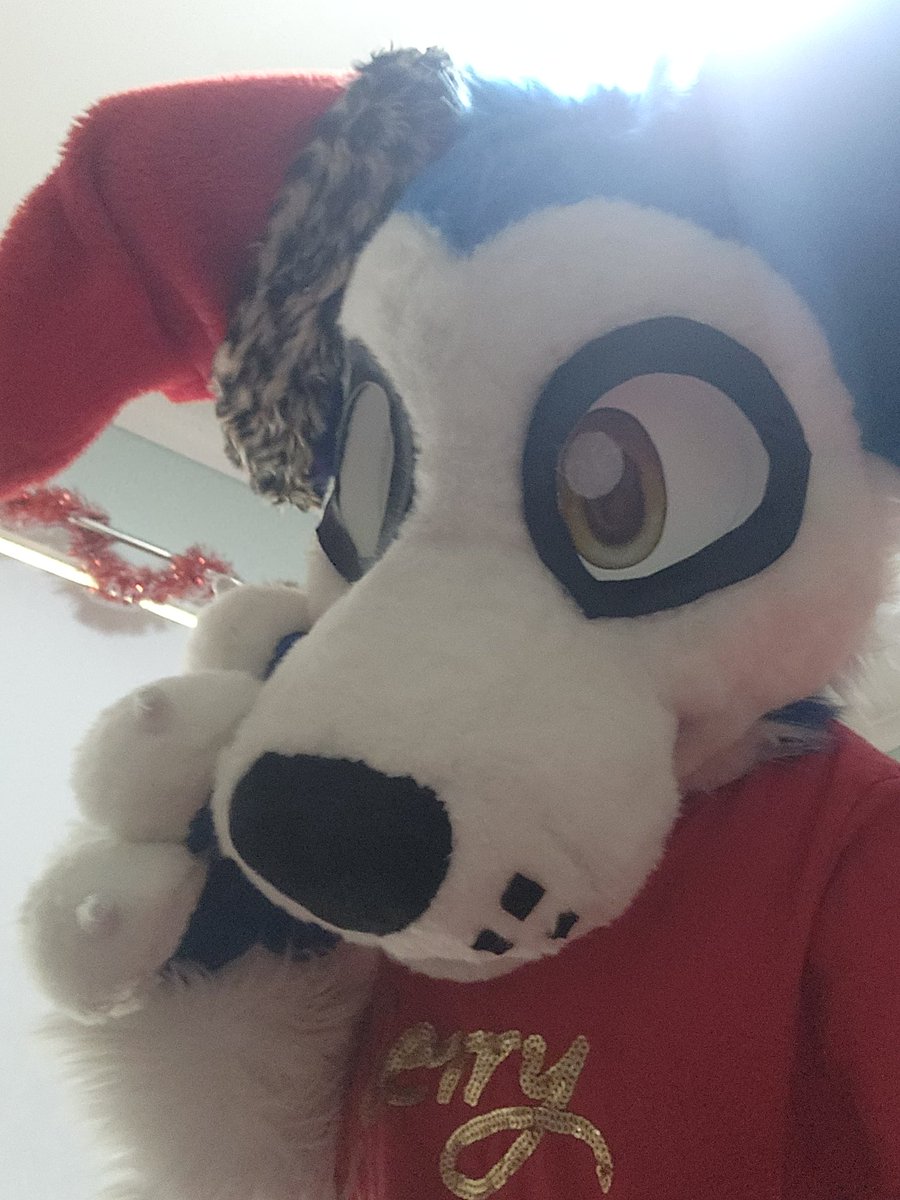 BlueWolf23563's tweet photo. MERRY CHRISTMAS TWINS, LOVE YOU ALL
#Christmas #furry #fursuit #furrychristmas https://t.co/PuUkrkfLFj