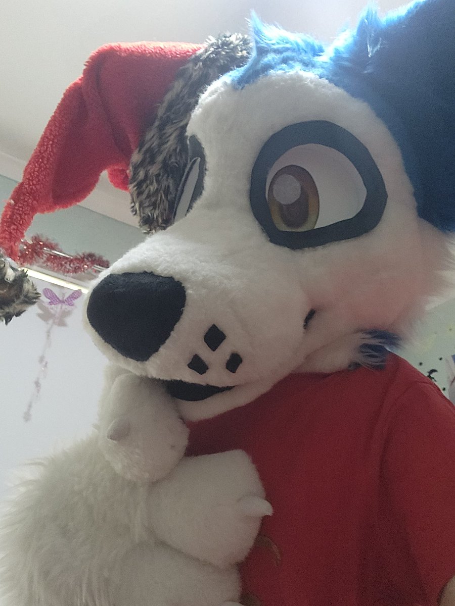 BlueWolf23563's tweet photo. MERRY CHRISTMAS TWINS, LOVE YOU ALL
#Christmas #furry #fursuit #furrychristmas https://t.co/PuUkrkfLFj