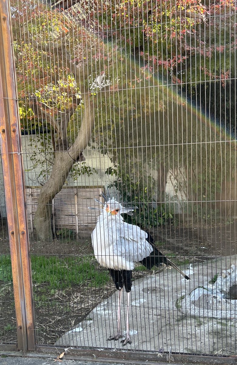 みるきー (@milkyma2) / Posts / X