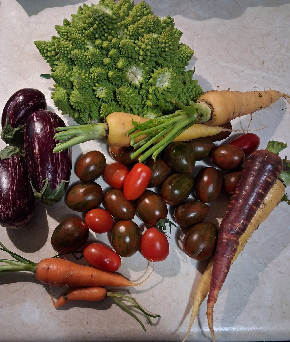 Ο μπαχτσες αλλιώς