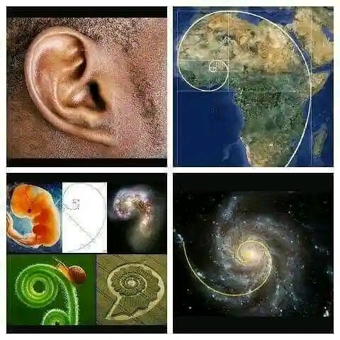 Everything is connected