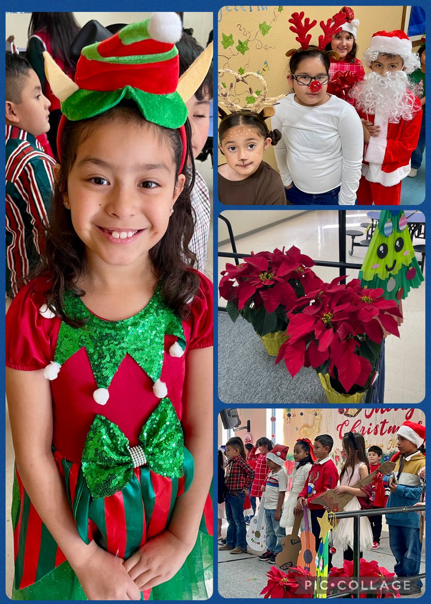 Susana Frescas tweet media