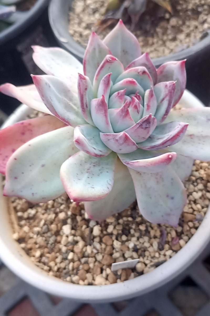 お久しぶりのポストですねw
なんとか管理しております。。。😌