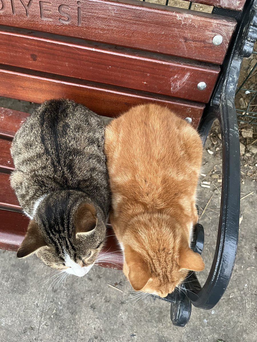 Günaydın dünya😭😭😭