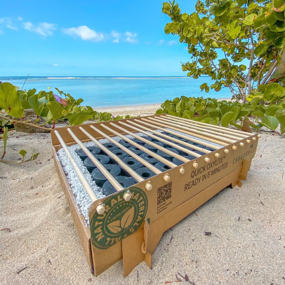 Are you ready for your next picnic? 🧺 #casusgrill 

#ecofriendly #gogreen  #getoutside #freshairandfreedom #adventure #ecofriendlyproducts #camping #picnic #outdoorcooking #chooseabetterfuture