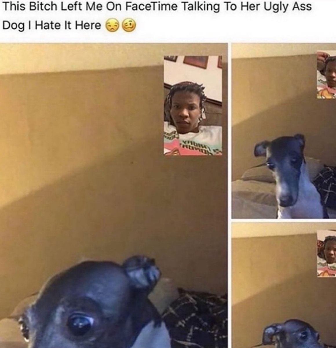 Images AI Could Never Recreate (@imagesaicouldnt) on Twitter photo 