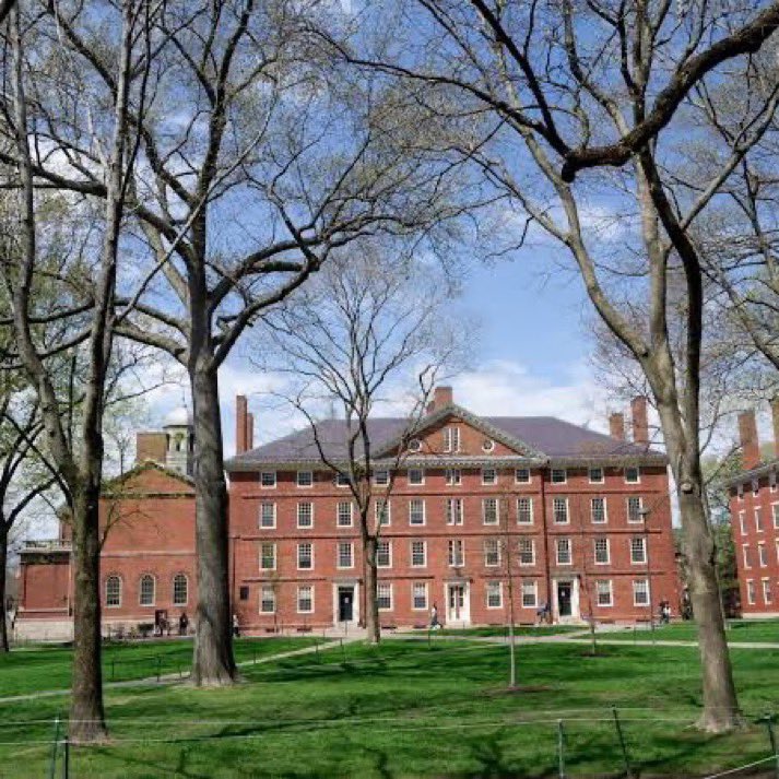 Annesinin ev temizliğine giderek okuttuğu 18 yaşındaki Sevgi, 90 bin dolarlık bursla Harvard’ı kazandı.