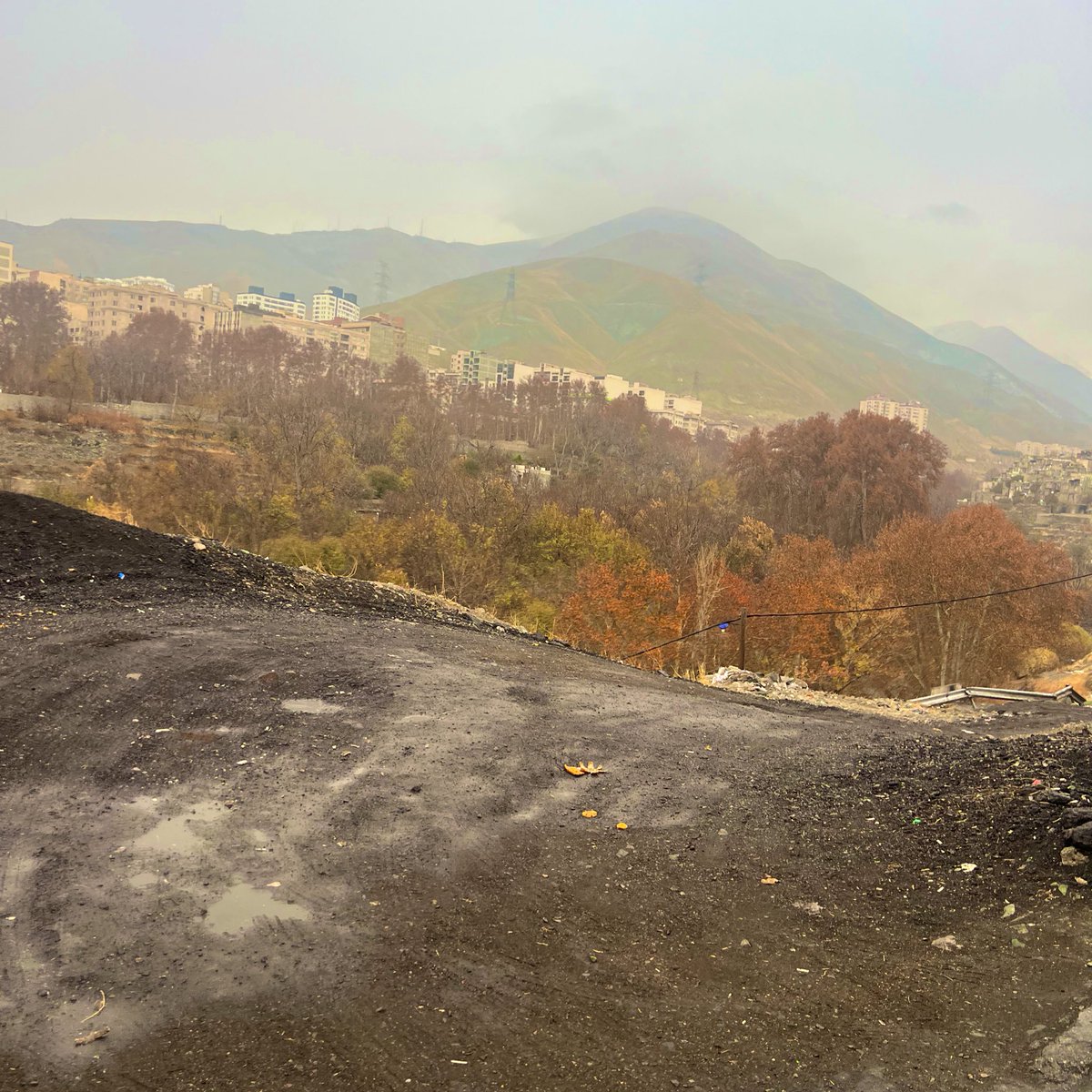 یک قدم رفتم جلوتر، در هوای بارونی