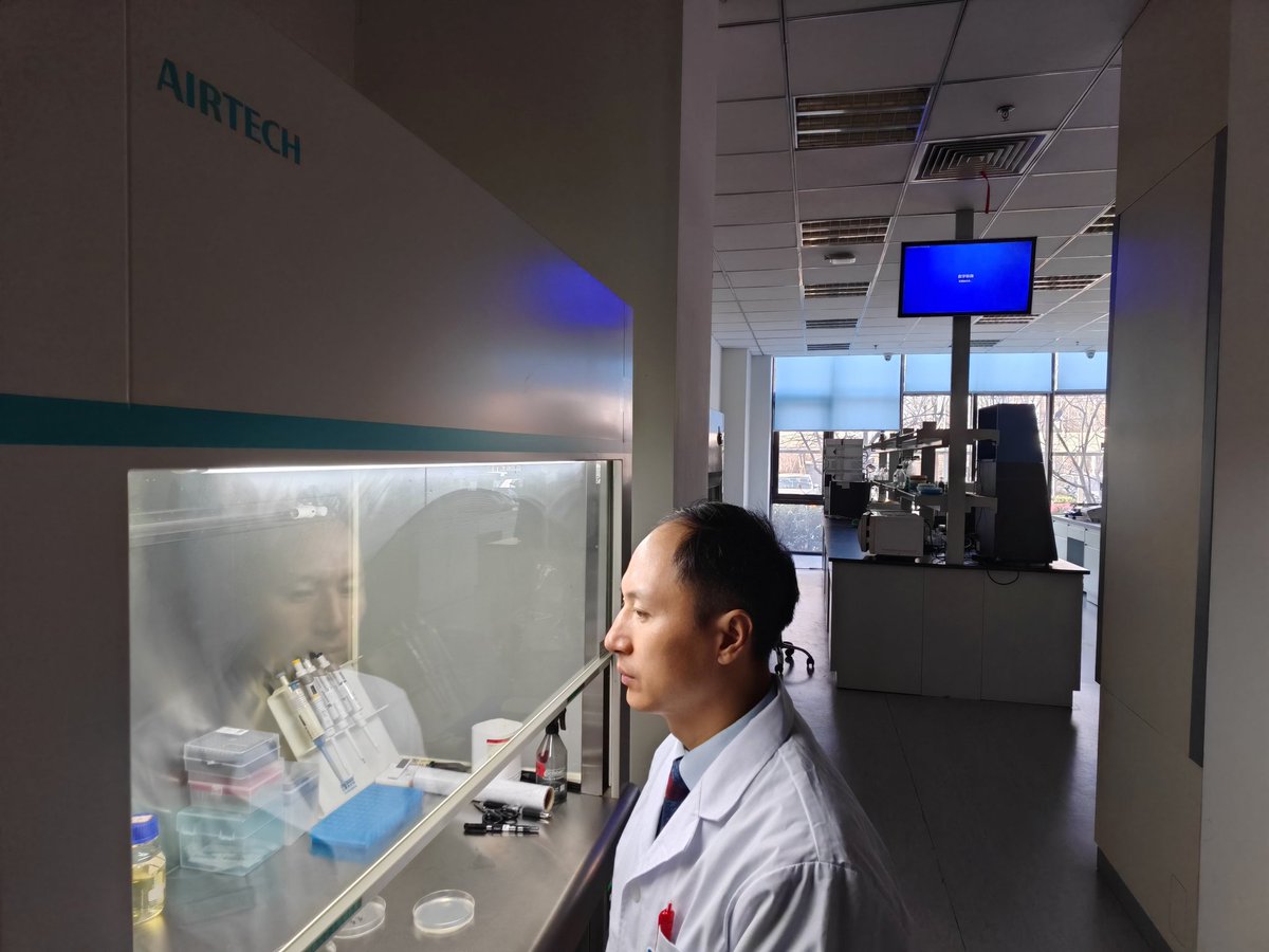 dejavucoder's tweet image. kpop is bioweapon