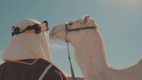 NahaarThe's tweet photo. @Alrayapoet تلفي علي مشتاقة و أنا لها بعد آشتاق
  هي الوحيدة آسمح  لها  تلدد بغاربها

 و آضفي على نحرها من الفرحة عناق
 فرحة بدو  طش الوسم على مضاربها

 🐪 
#شاعر_الراية #الموسم_الرابع https://t.co/sTTnzsWuIt
