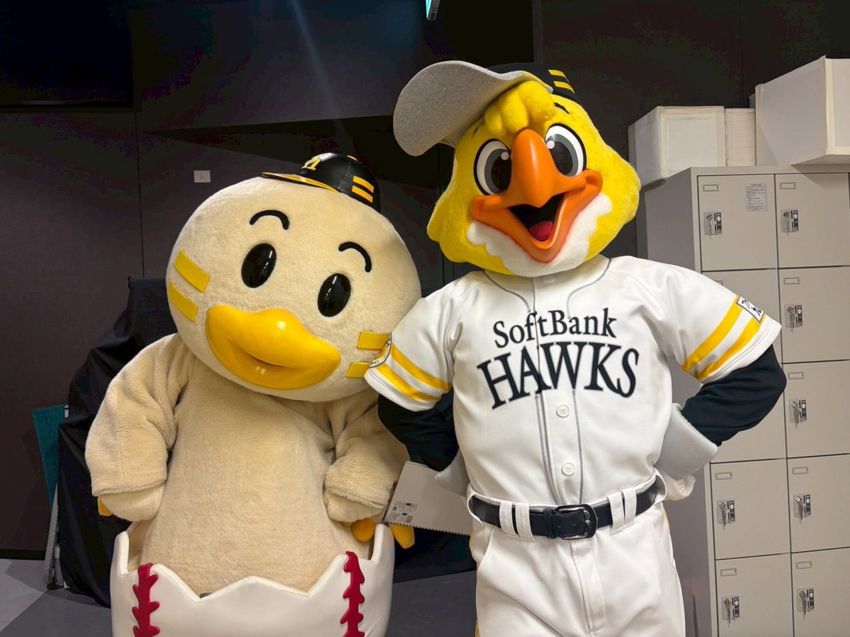 ハリーホーク（公式） (@hawksHarry) / Posts / X