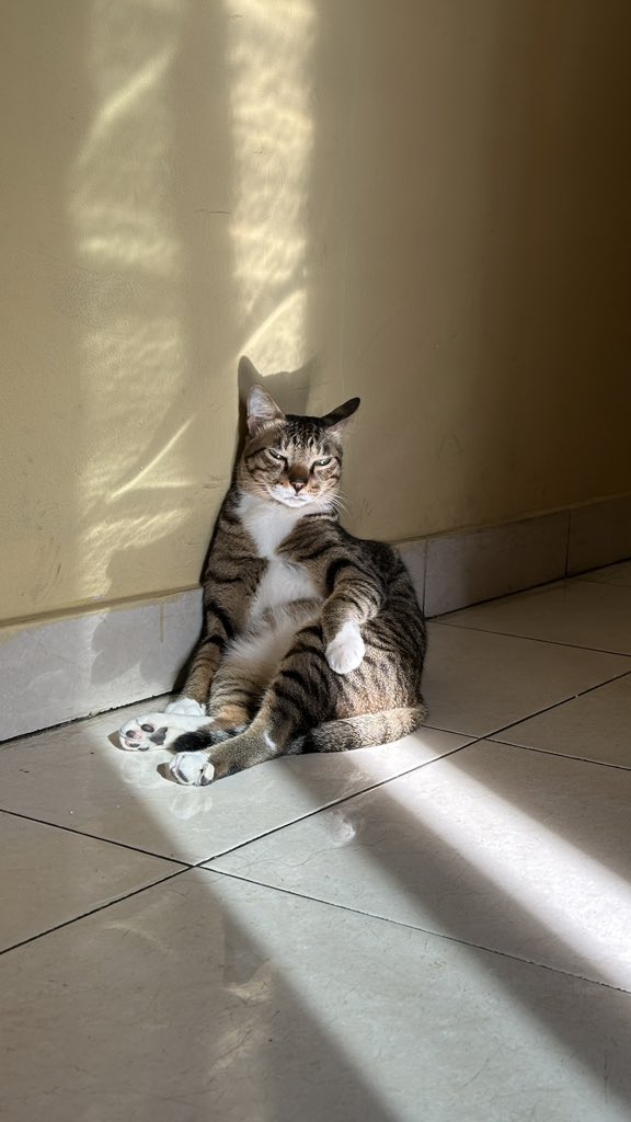 Sunbathing mengeluarkan aura ketamvanan babang Miki