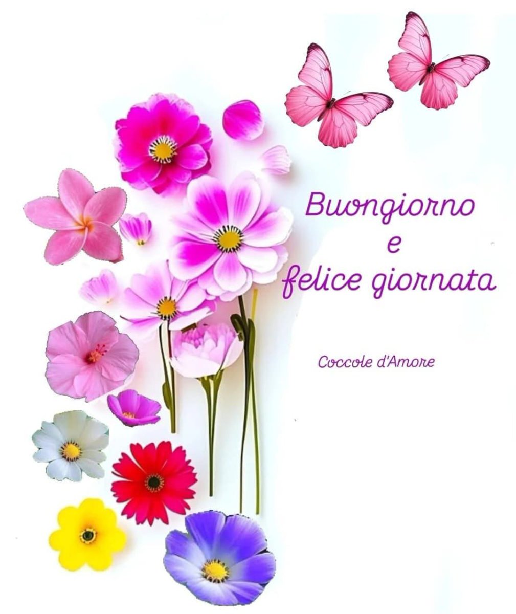 Marianna tweet media