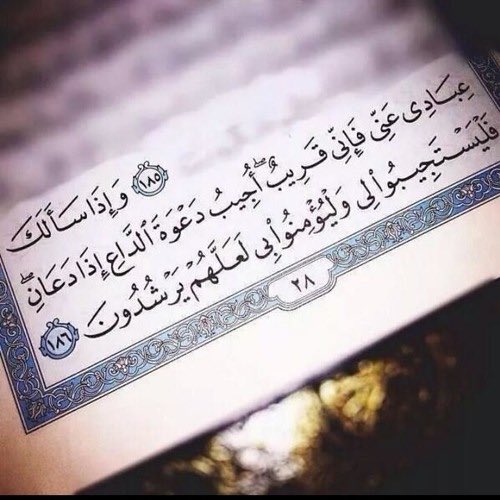 kald (@hzi05135324) on Twitter photo 