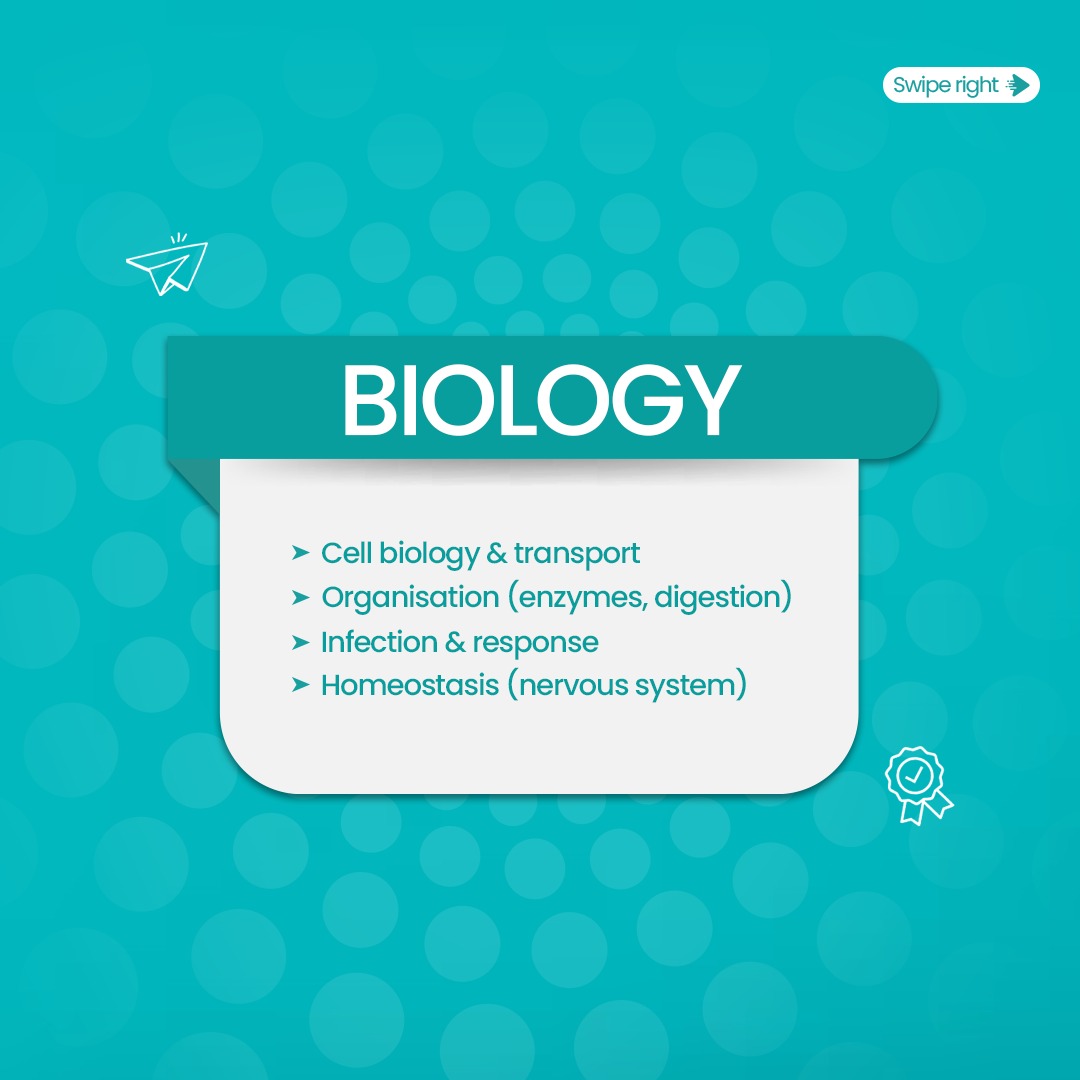 Eximus Education tweet media