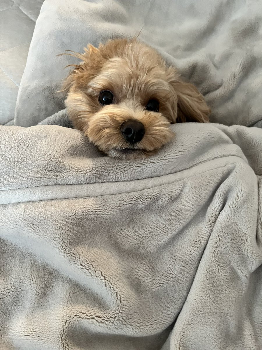 最近寒くて起きてくれない