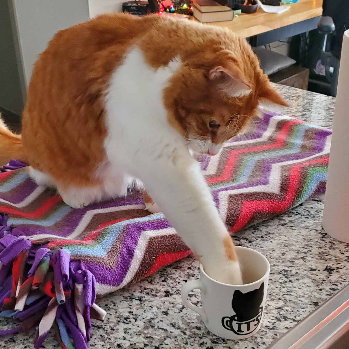 <a href="/AJamesMcCarthy/">Andrew McCarthy</a> My cat does the same with my coffee every morning. It's gotten to the point where I have to pour him his own little cup of milk.
