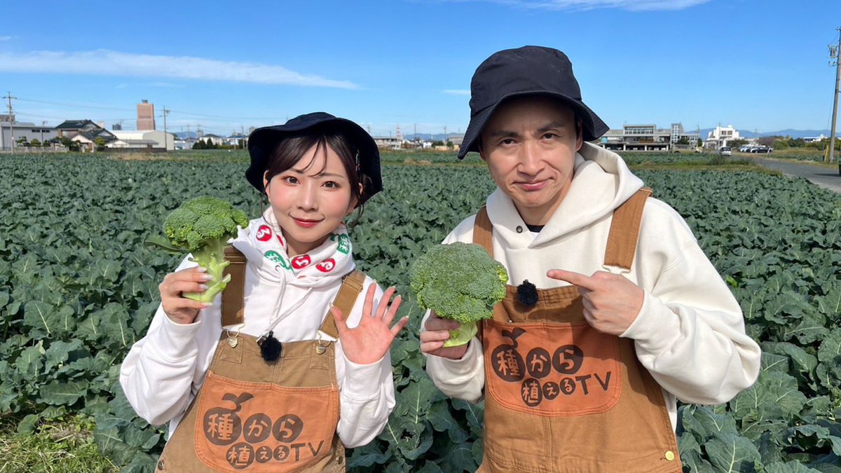 よよよちゃん👽✨令和の歌まねヒロイン (@yoyoyochan_twi