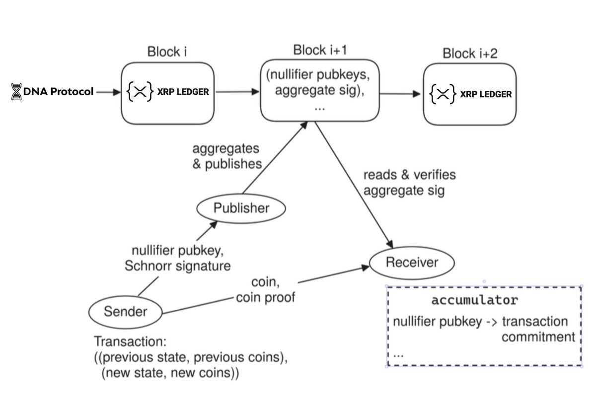 pumpius's tweet photo. 🚨 BREAKING: DNA Protocol is developing a ZK-credential mechanism on XRPL that enables transaction validity to be cryptographically attested while underlying identities and inputs remain non-disclosed. https://t.co/2bS5UTKH7R