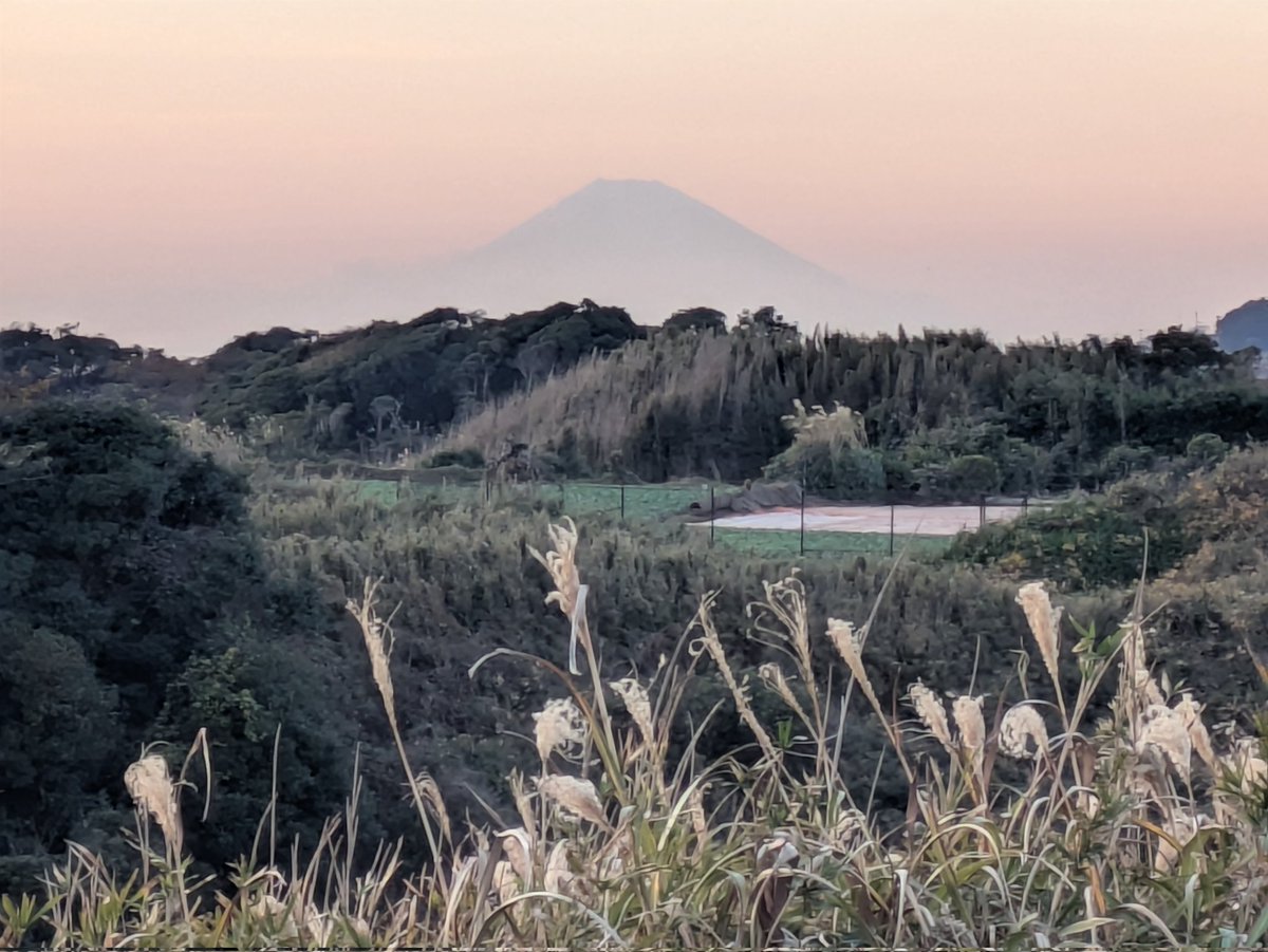 神奈川県にて刺し身定食  🗿