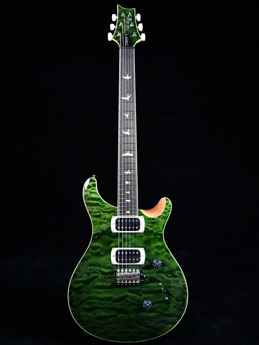 ハラペコ2 3/2mｍジッパレス フルスーツ☆カスタムオーダー料込 島村楽器カスタムオーダー PRS SEシリーズが完成しました