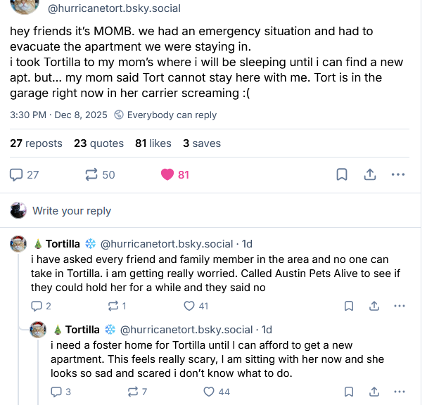 🎄Jean 🐈⬛Emmaline 🌈🐈Oliver| 💔Kate😢|Keek🌈 tweet media