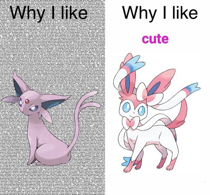 Pokémon Daily tweet media