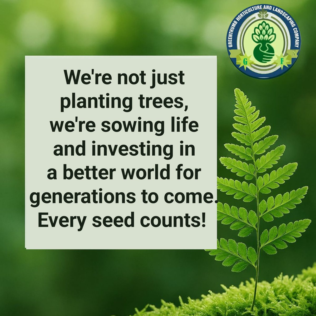 Greenthumbhort's tweet image. A simple flower vase or potted plant can brighten your mood, reduce stress, and elevate your environment naturally.

Start with one. Watch the magic grow.  We are here to help you green your spaces.
 #Greenthumb #GreenSpaces #NatureForWellbeing #FestiveGreens #ChristmasWithPlants
