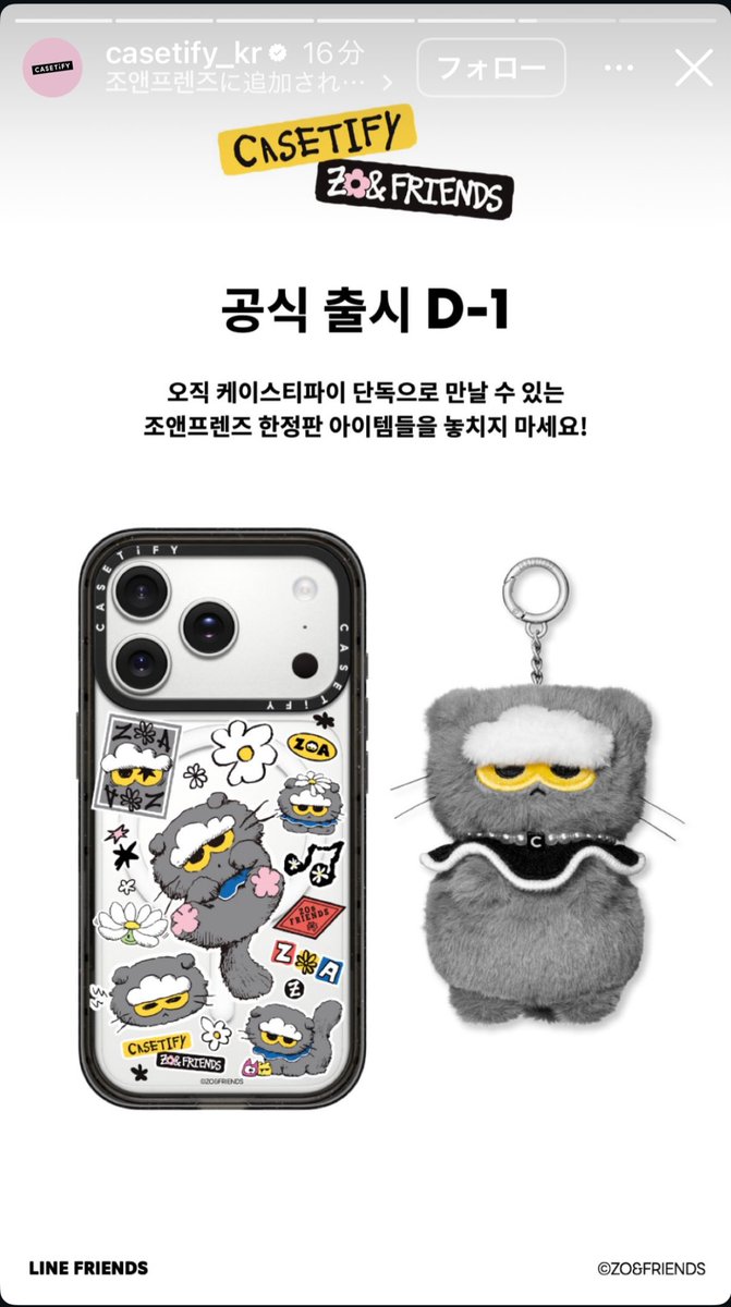 CASETiFY ZO&FRIENDS ZOAパスポートケース　展示品　袋なし