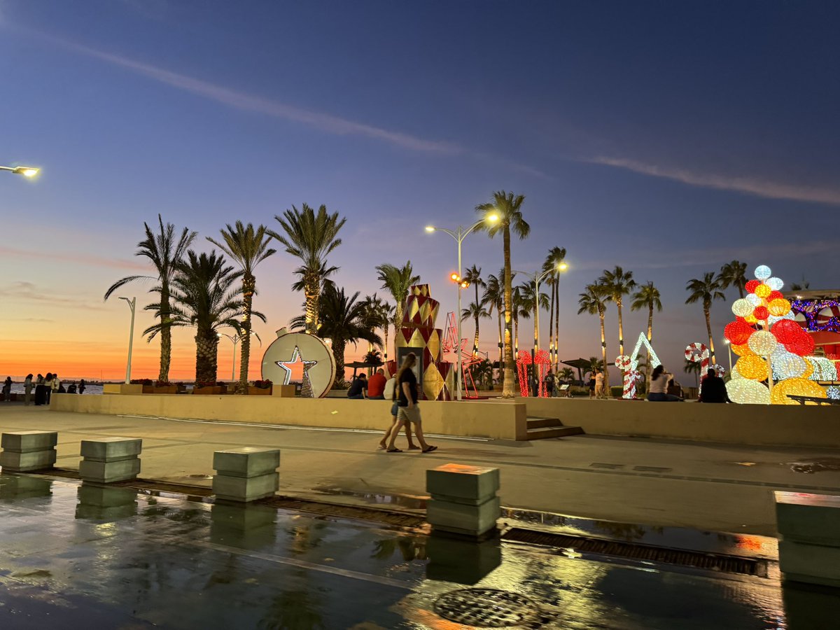 Gracias a <a href="/CPCBCS/">COMITÉ DE PARTICIPACIÓN CIUDADANA DE BCS</a> por hacer posible esta conmemoración #DiaInternacionalContraLaCorrupción #DePalermoaMérida. Establecer diálogos especializados en materia anticorrupción es una tarea que necesitamos expandir a los estados a los municipios de México. Baja California Sur es un